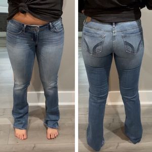 New Hollister bootcut